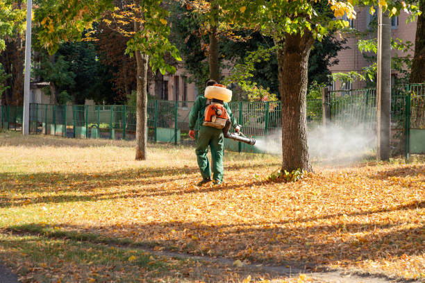 Best Pest Control Near Me in North Branch, MN